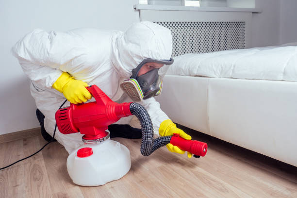 Best Affordable Pest Control Services  in Independence, KS