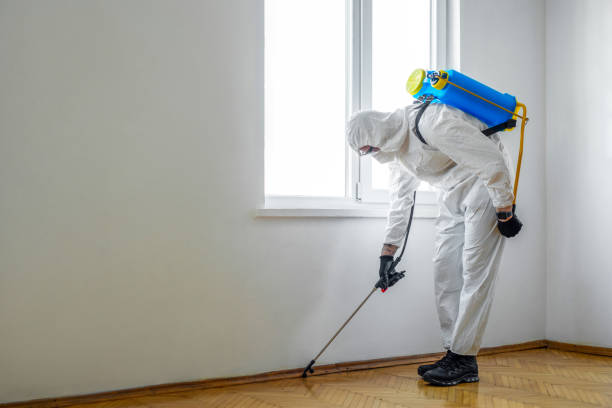 Best Commercial Pest Control Services  in Independence, KS