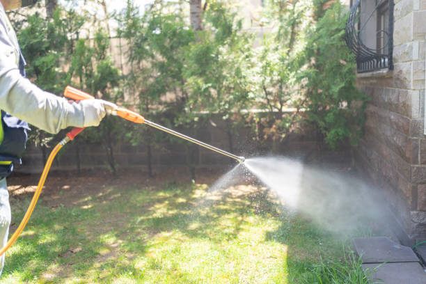 Best Termite Control Services  in Independence, KS