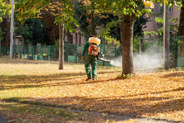 Best Affordable Pest Control Services  in Independence, KS
