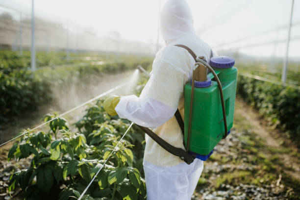 Best Local Pest Control Services  in Independence, KS